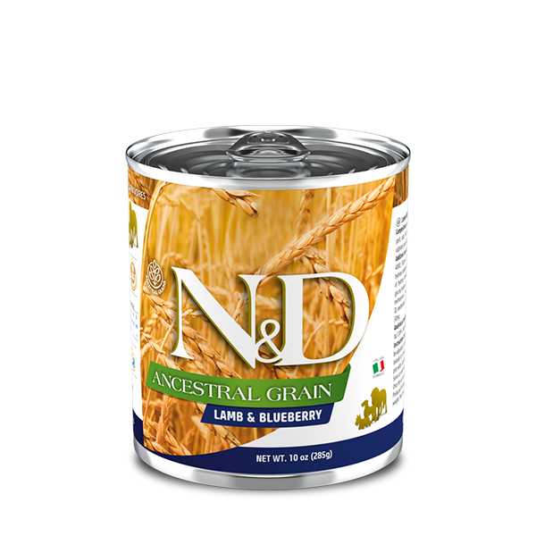 N&D ANCESTRAL GRAIN TAVUK, KILÇIKSIZ BUĞDAY, YULAF & NAR ADULT MINI 7kg