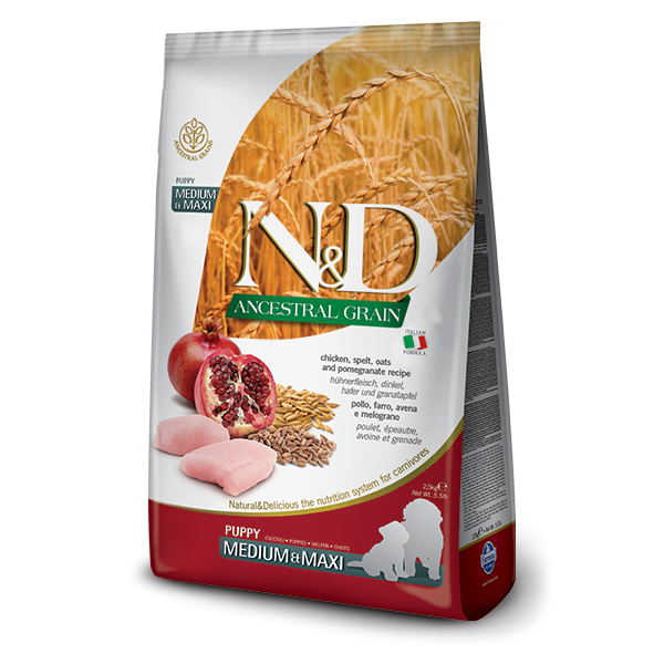 N&D ANCESTRAL GRAIN KUZU, KILÇIKSIZ BUĞDAY, YULAF & YABAN MERSİNİ PUPPY MEDIUM & MAXI 12kg